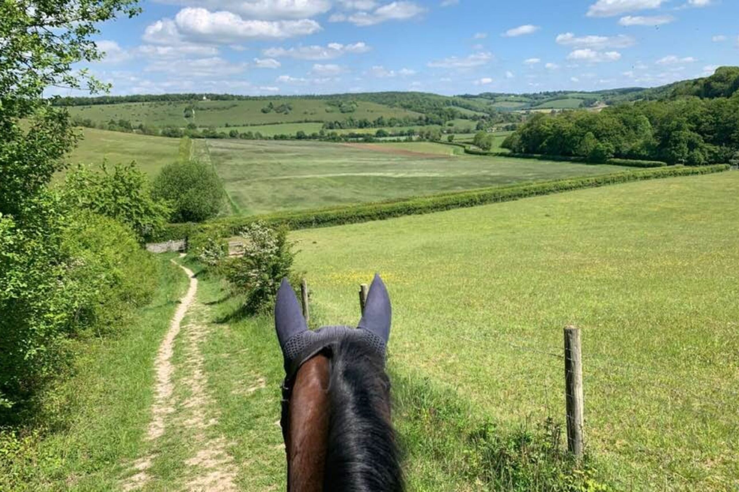 Cholsey Farm Riding