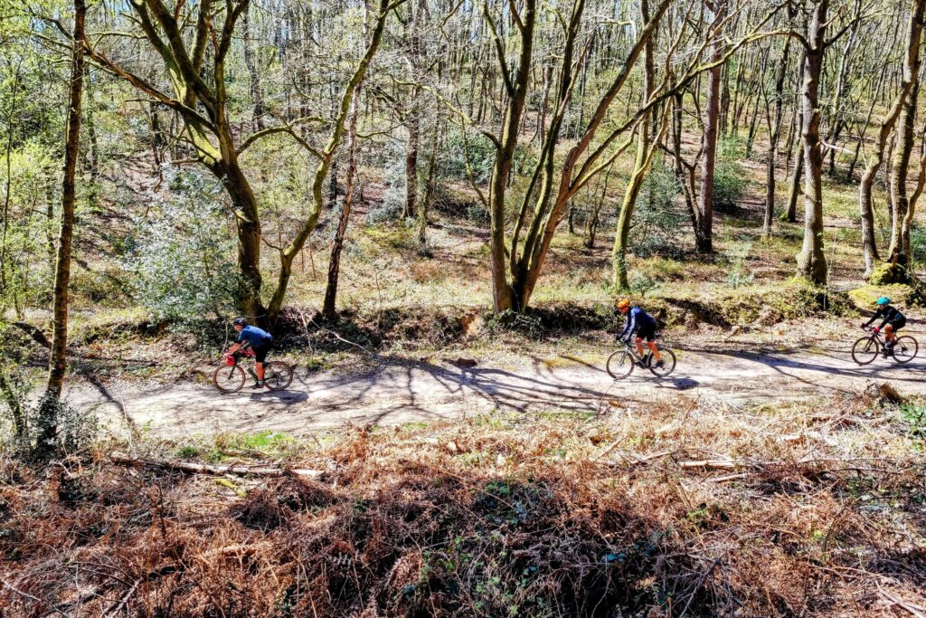 Wild Cycles Gravel Tour