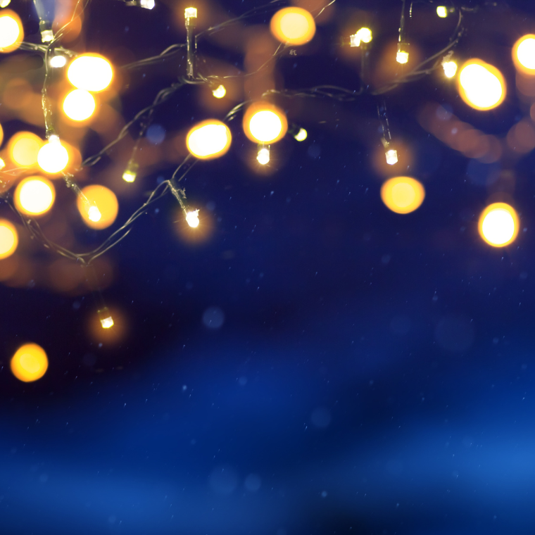Marlow Christmas Light Switch on