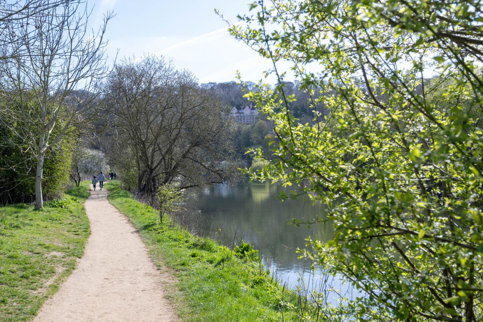 Marlow walks